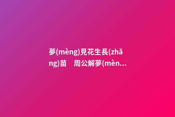 夢(mèng)見花生長(zhǎng)苗　周公解夢(mèng)之夢(mèng)到花生長(zhǎng)苗